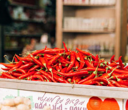 سس‌های تند555